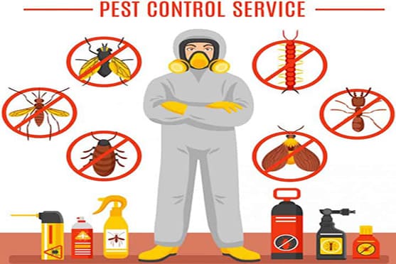 Pest Control Abudhabi